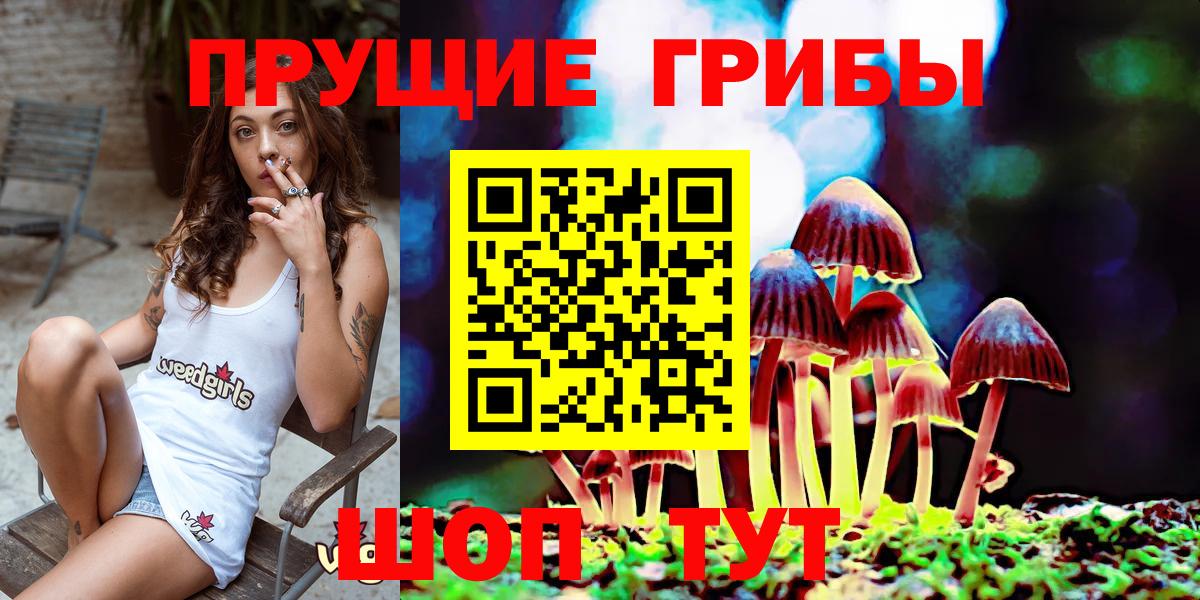 Нефтеюганск  Псилоцибиновые грибы мицелий  Вход с VPN 