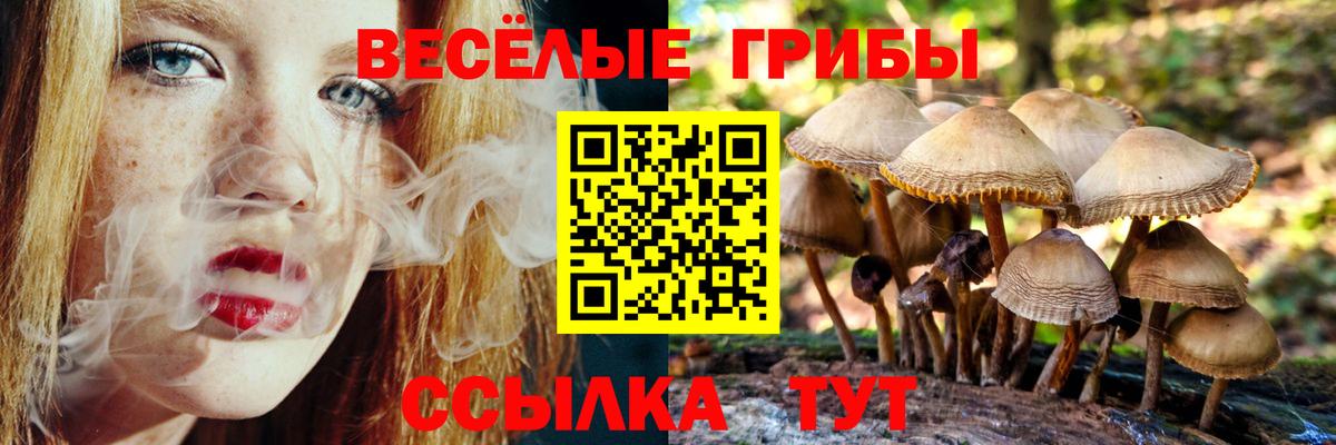 Псилоцибиновые грибы ЛСД Нефтеюганск